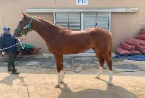 ġ��Ǯ������ (CHEERFUL LIFE) ����