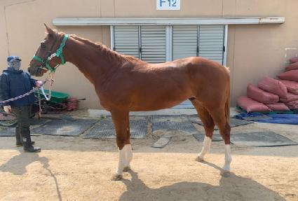 ġ��Ǯ������ ����