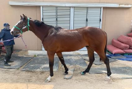 ����������Ÿ ����