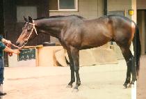 ū���� (KEUN BA WI) ����