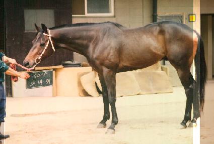 ū���� ����