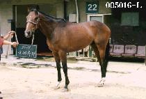 ����Ư�� (KUK JAE TEUK HEO) ����