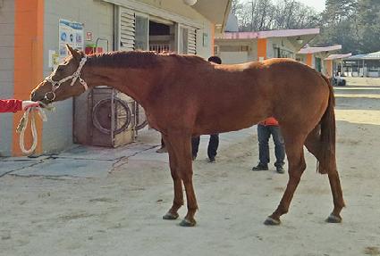 ���Ǿ��̱� ����