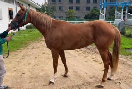 ������ž ����