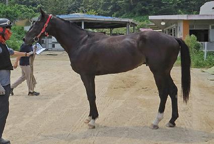 ���ų�� ����