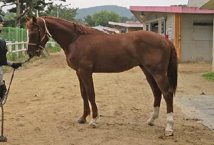 ����Լ� ����