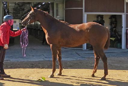 ����Ʈ����Ʈ ����