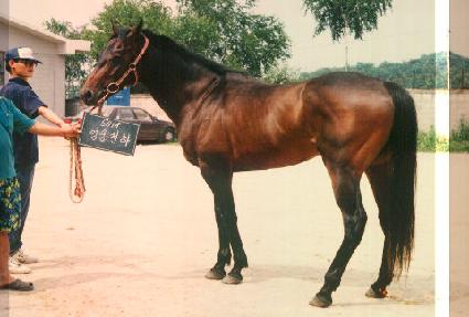 ����õ�� ����