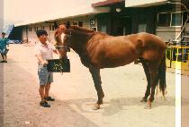 ���� (JIN GONG) ����