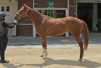 ������� ����