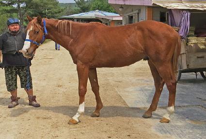 ��ö�巡�� ����