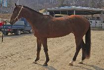 �����ѱ��� (WIDAEHAN GUNJU) ����