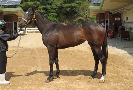 ��Ÿ�� ����