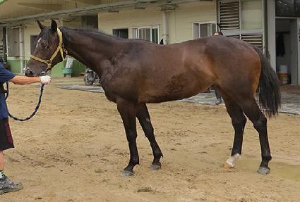 ��ε��� ����