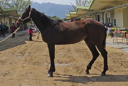 ����Ʈ�� ����