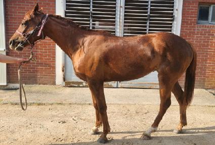 �θǽ����� ����