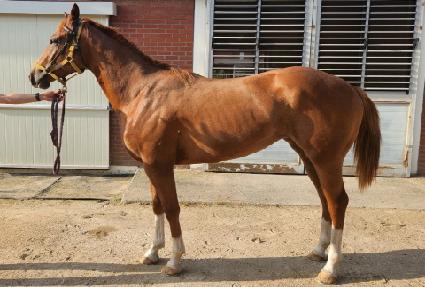 ���̾���� ����