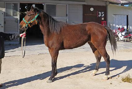 ���̴��� ����