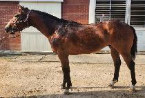 ���潺�÷��� (DEFENSE PLAY) ����