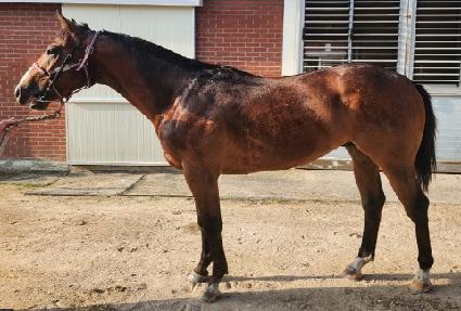 ���潺�÷��� ����