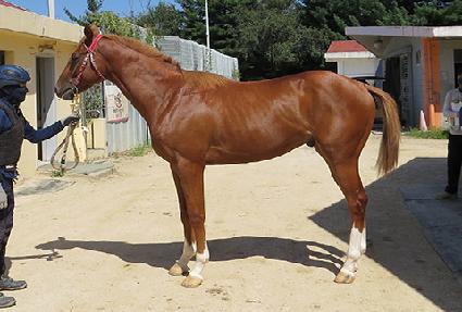 ������ũ ����