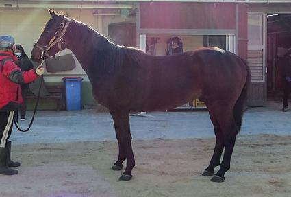 ������ ����