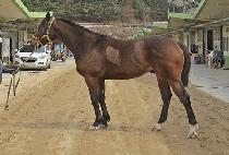 ��ö�Ŀ� (GANGCHEOL POWER) ����