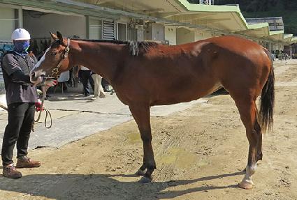 �������� ����