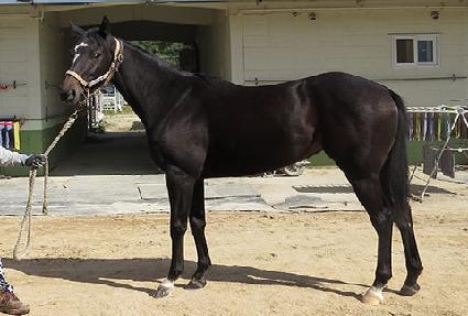 ����ũ���� ����