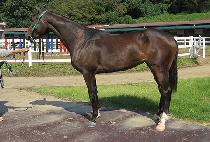 �ݼ��� (GEUMSUNNE) ����