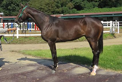 �ݼ��� ����