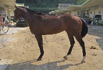 ��������Ÿ�� (BEOLGYO VERITAS) ����