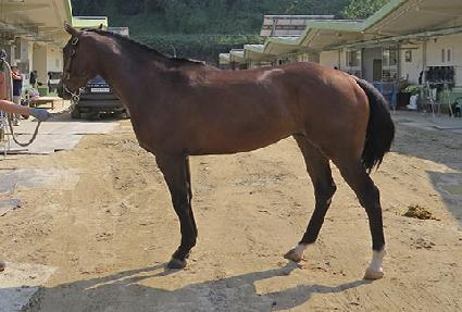 ��������Ÿ�� ����