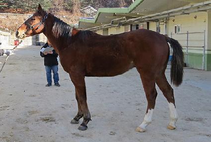 ������ ����