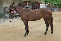 ����̺��� (WITH ME BLUE) ����