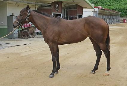 ����̺��� ����