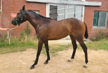 �Ӵ���� ����