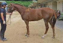 ���̵���� (LADY BLUE) ����