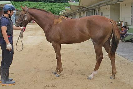 ���̵���� ����