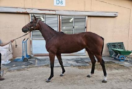 �ε����̷�Ŭ ����