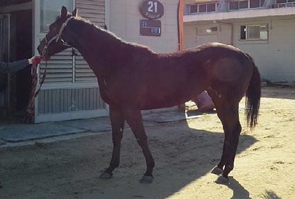 �����϶� ����