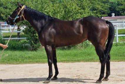 ���ͼ���Ʈ ����