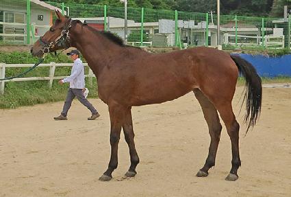 �ö���Ŀ�ǵ� ����