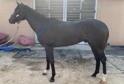 ���̿��帮�� ����