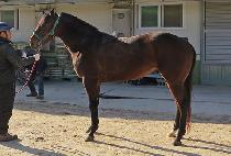 �۴��ġ (SONGDANGMANGCHI) ����