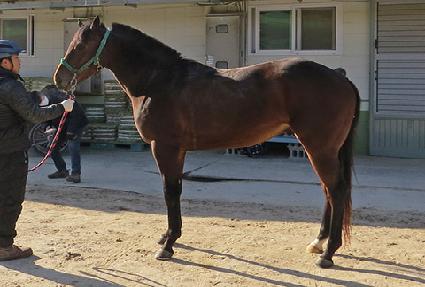 �۴��ġ ����