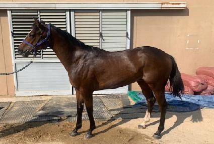 �帮�ֺ��� ����