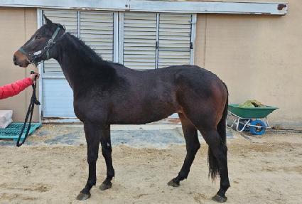 ĳ��Ʈ�� ����