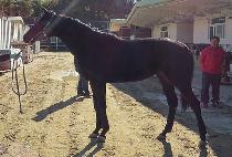 �ູ������ (HAENGBOK YEOJEONSA) ����