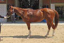 �ƽ���ũ (MAX WEEK) ����